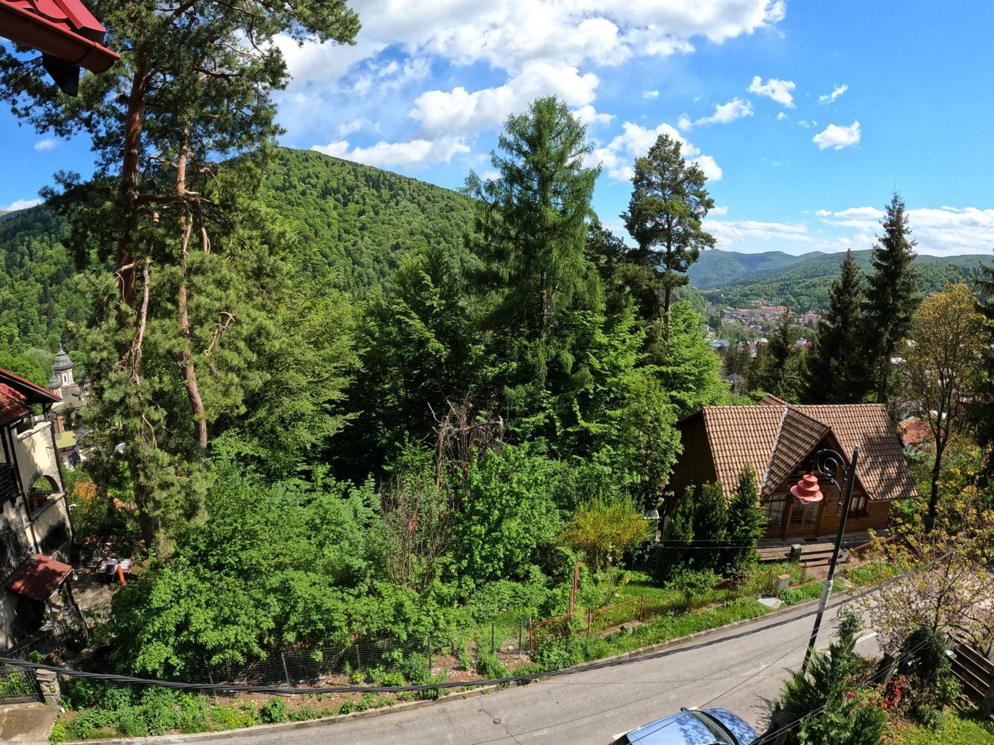 Casa Adina Otel Sinaia Dış mekan fotoğraf