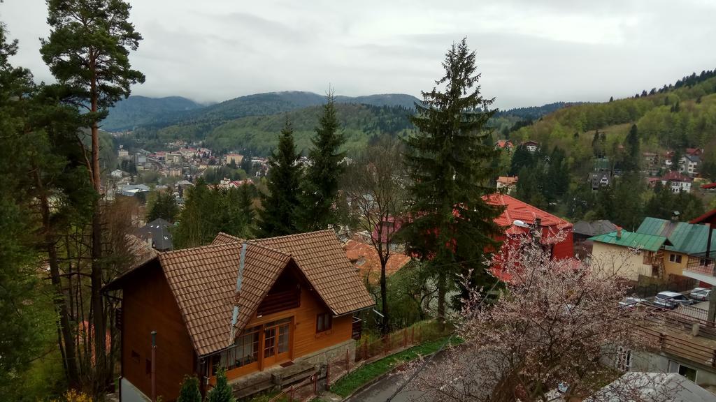 Casa Adina Otel Sinaia Dış mekan fotoğraf