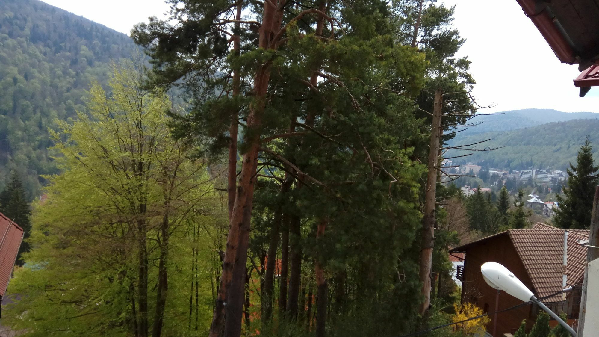Casa Adina Otel Sinaia Dış mekan fotoğraf